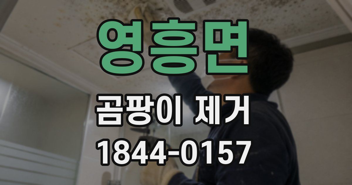 영흥면 곰팡이 제거