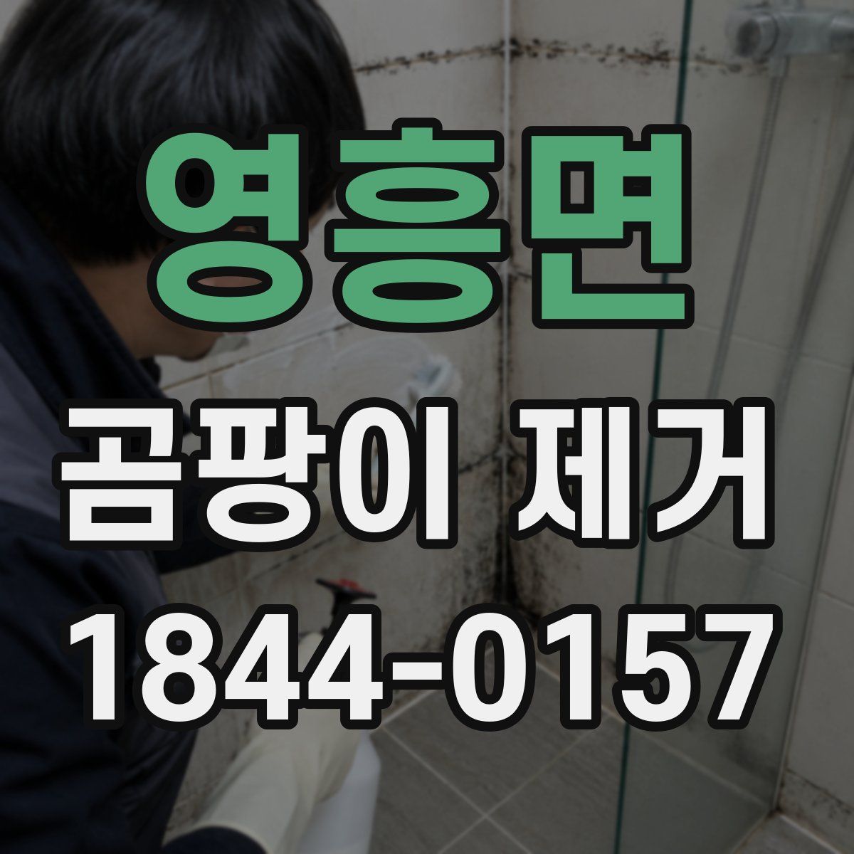 영흥면 곰팡이 제거
