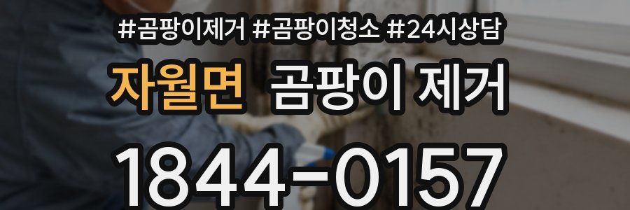 자월면 곰팡이 제거