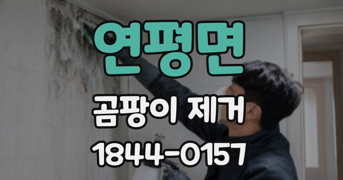 연평면 곰팡이 제거