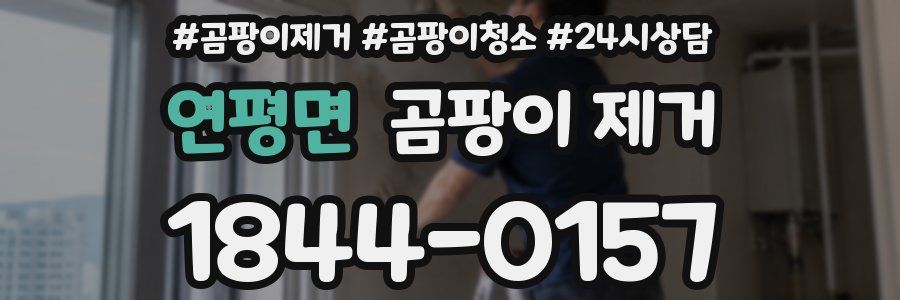 연평면 곰팡이 제거