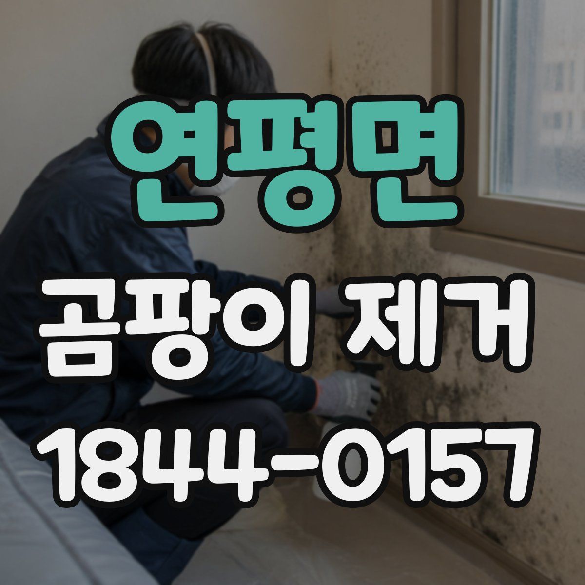 연평면 곰팡이 제거