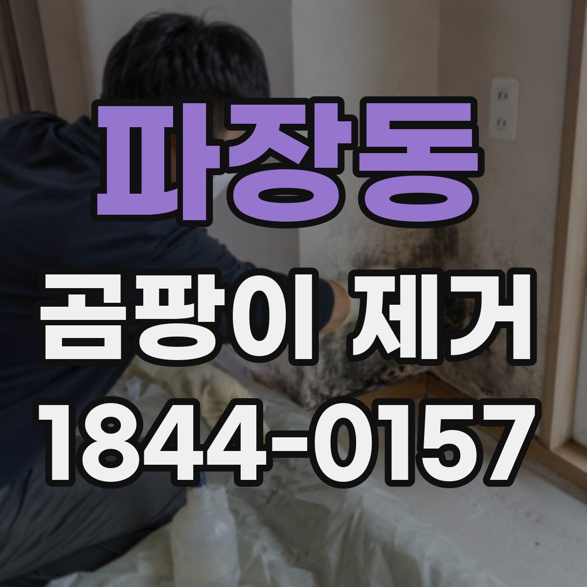 파장동 곰팡이 제거