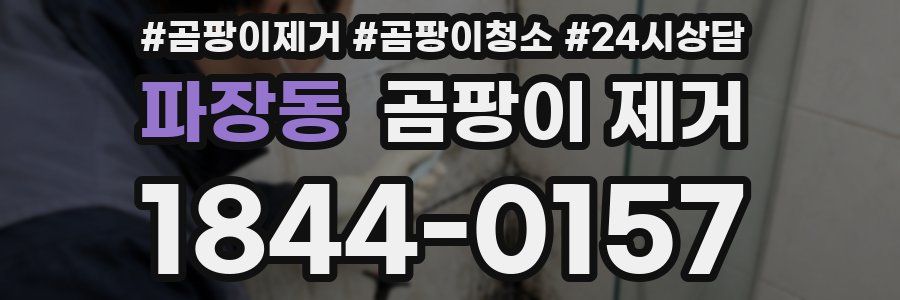 파장동 곰팡이 제거