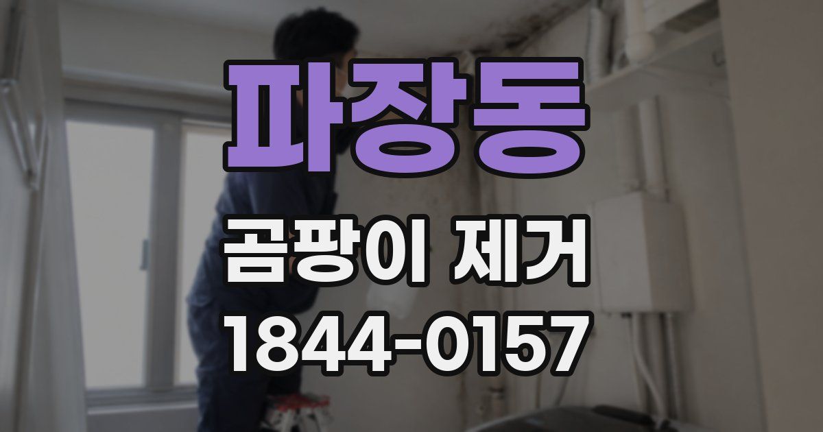 파장동 곰팡이 제거