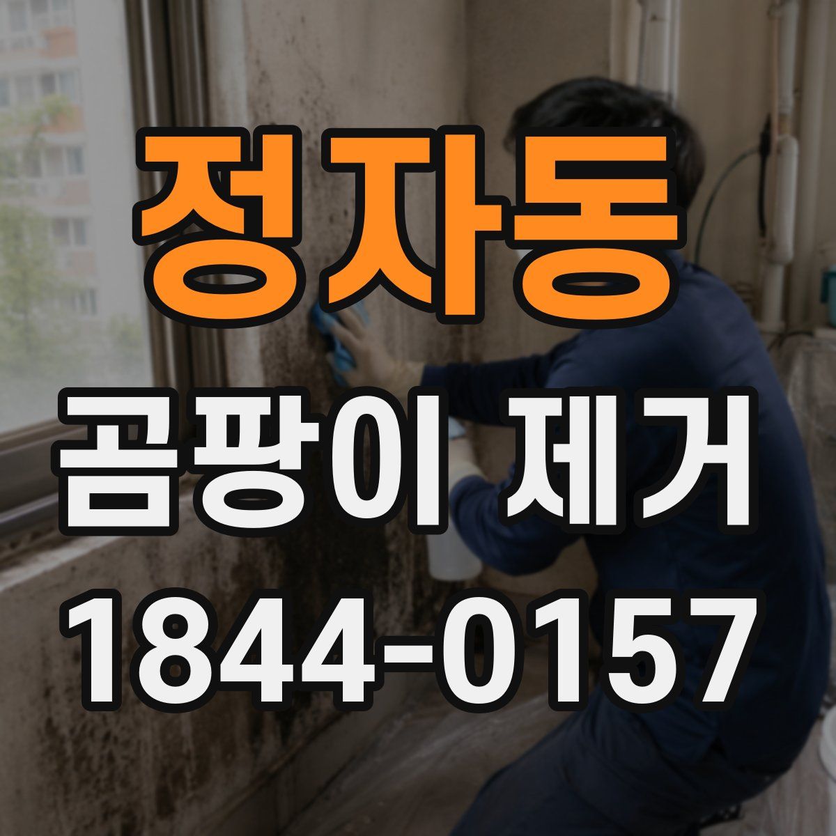 정자동 곰팡이 제거
