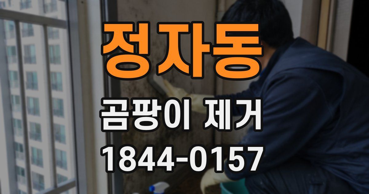정자동 곰팡이 제거