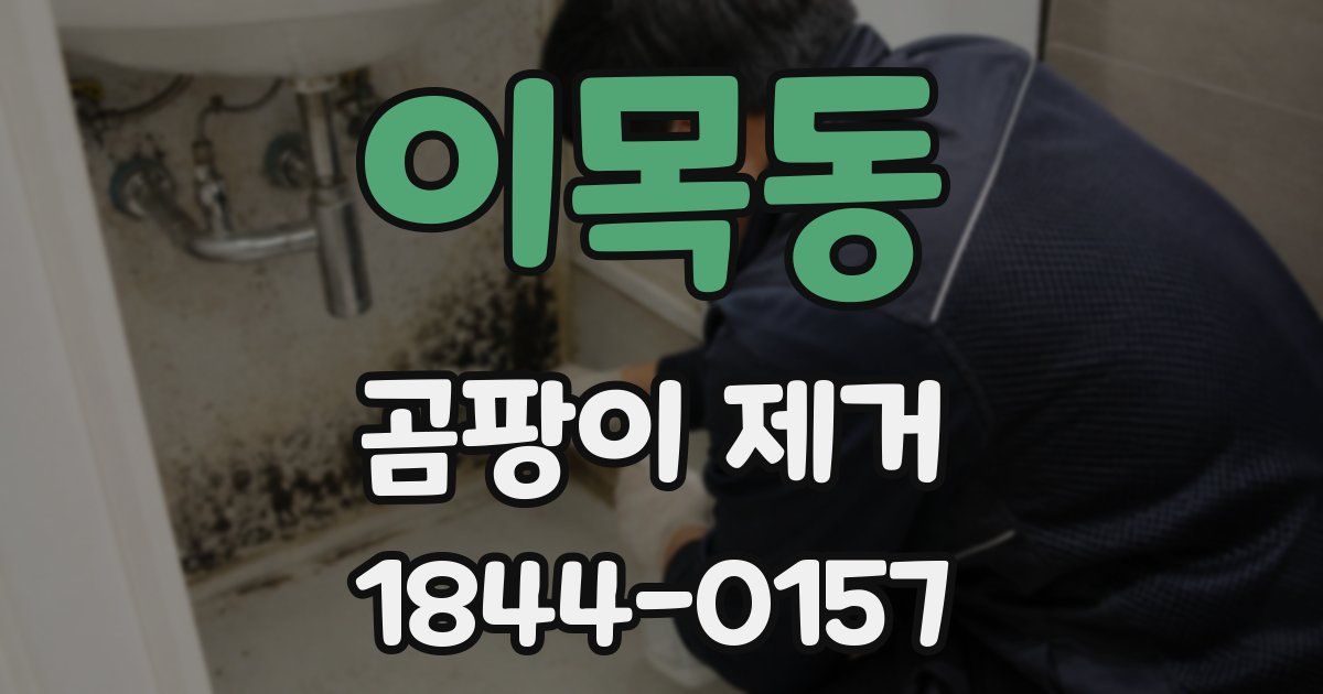 이목동 곰팡이 제거
