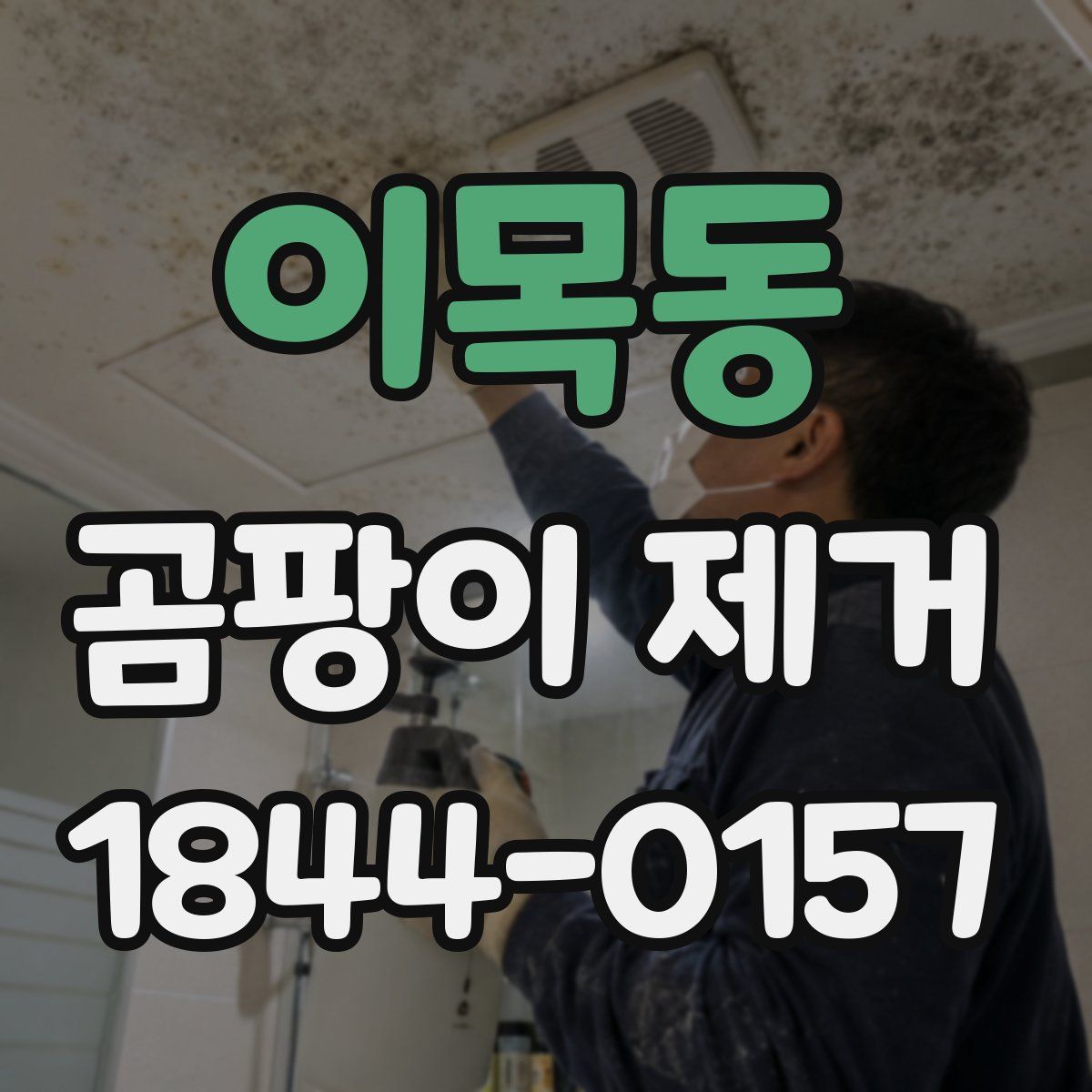 이목동 곰팡이 제거