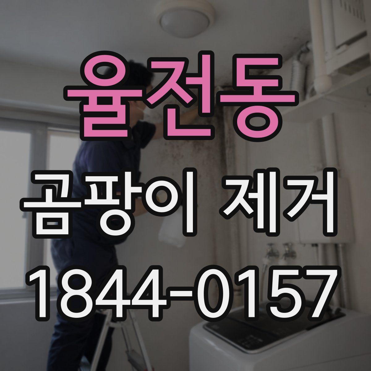 율전동 곰팡이 제거