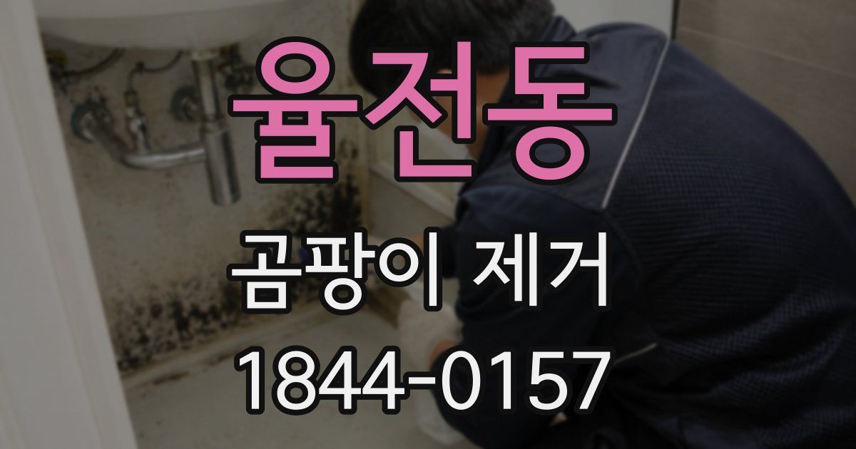 율전동 곰팡이 제거