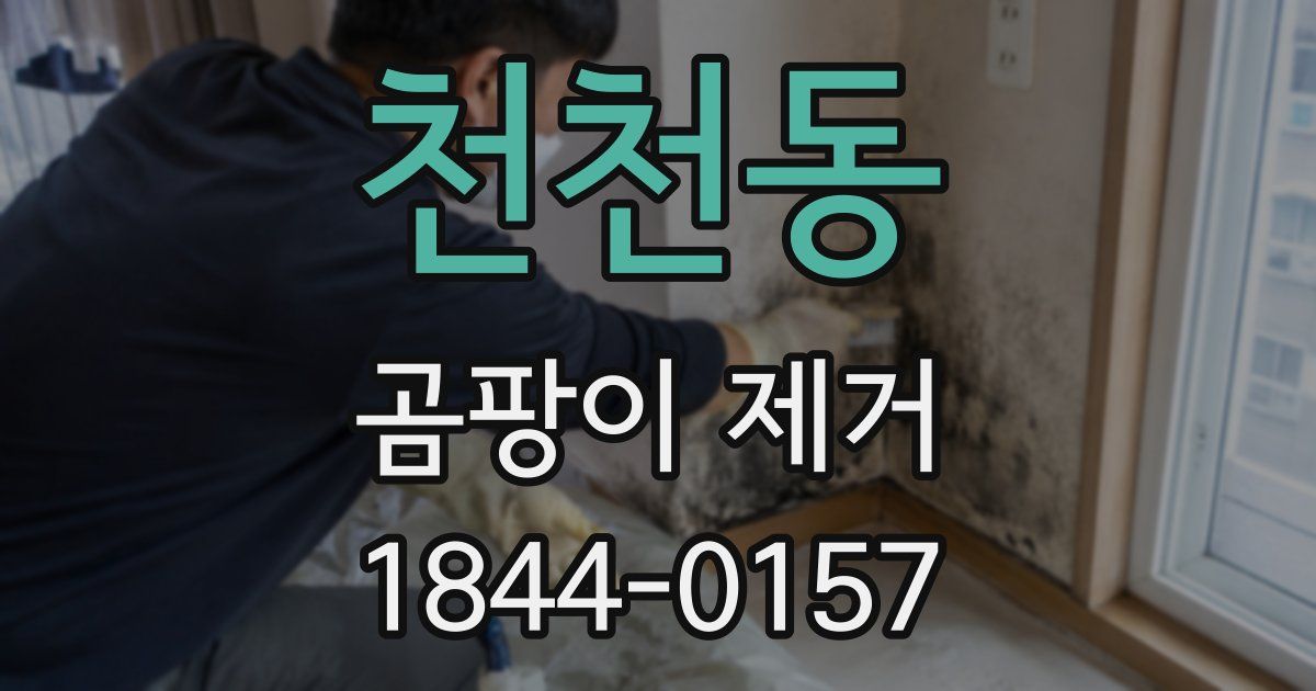 천천동 곰팡이 제거