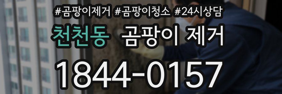 천천동 곰팡이 제거