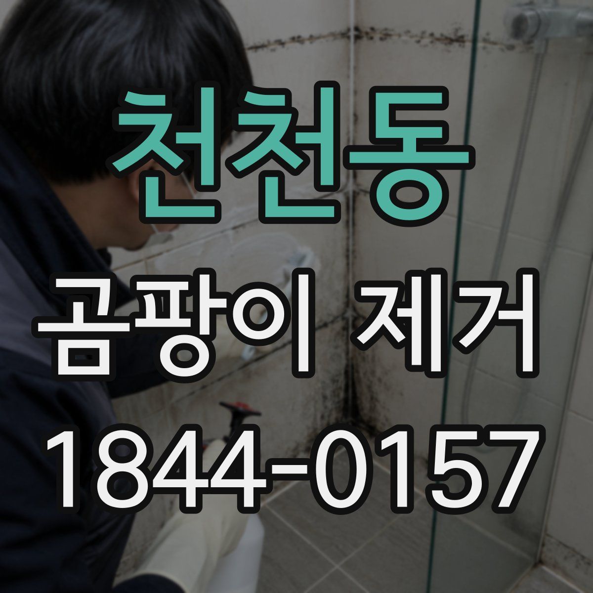 천천동 곰팡이 제거