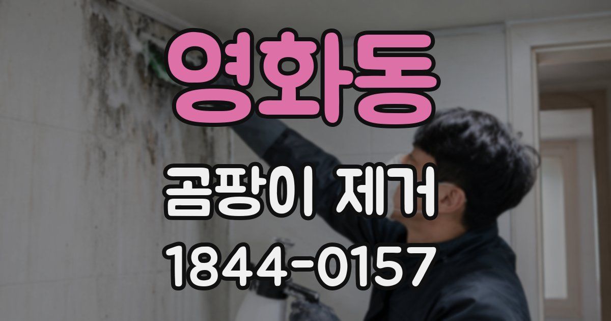 영화동 곰팡이 제거
