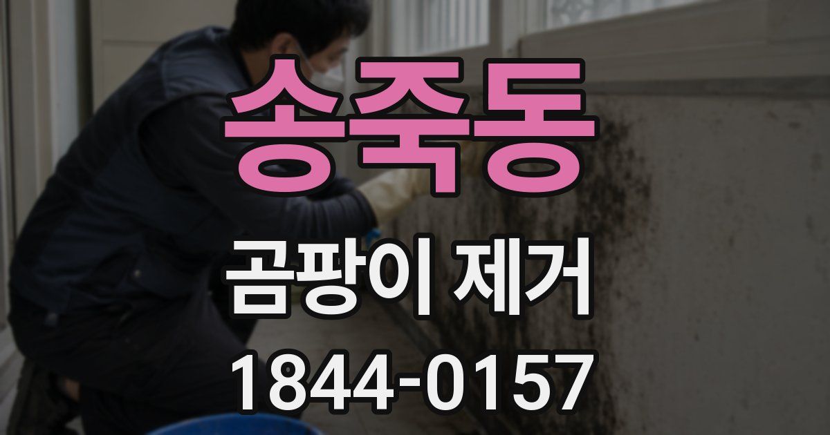 송죽동 곰팡이 제거