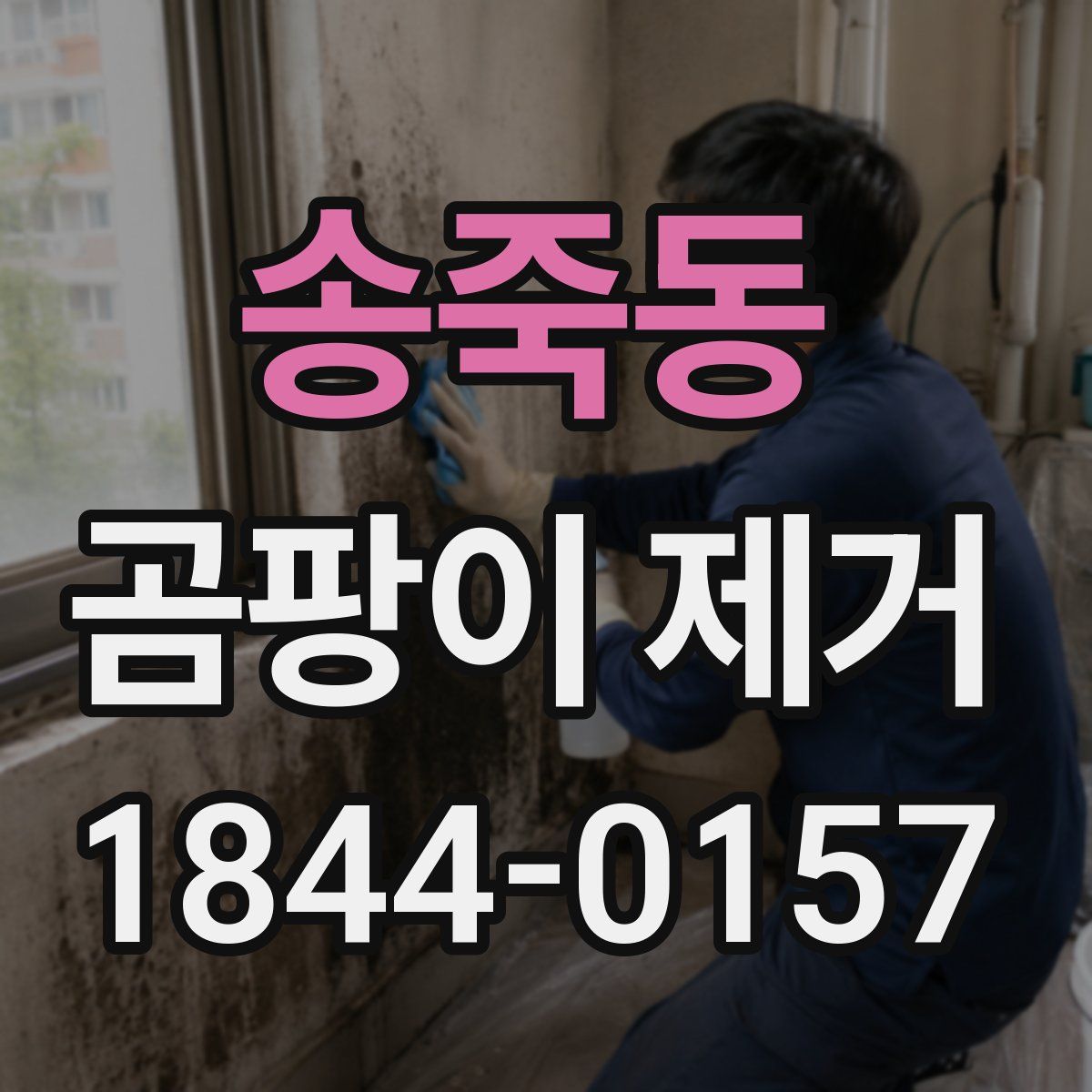 송죽동 곰팡이 제거