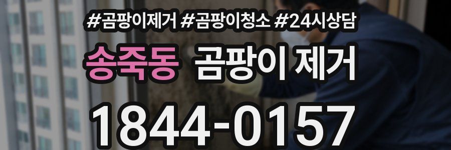 송죽동 곰팡이 제거