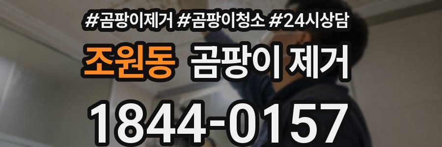 조원동 곰팡이 제거