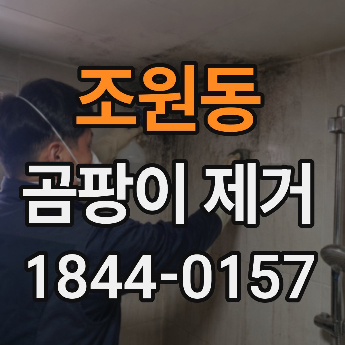 조원동 곰팡이 제거