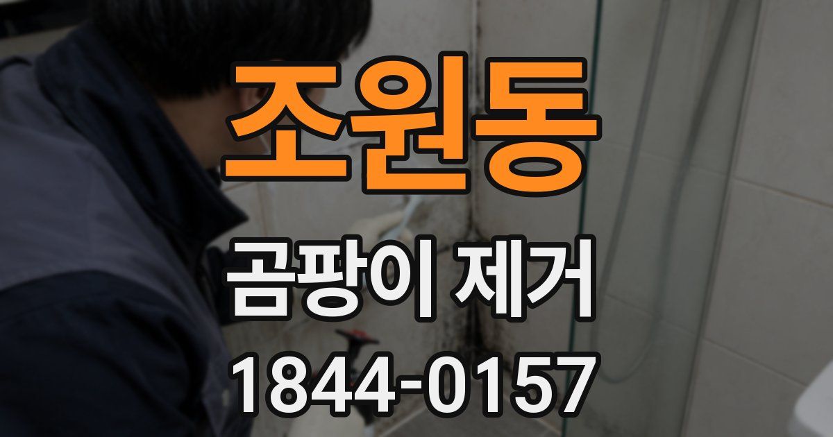 조원동 곰팡이 제거