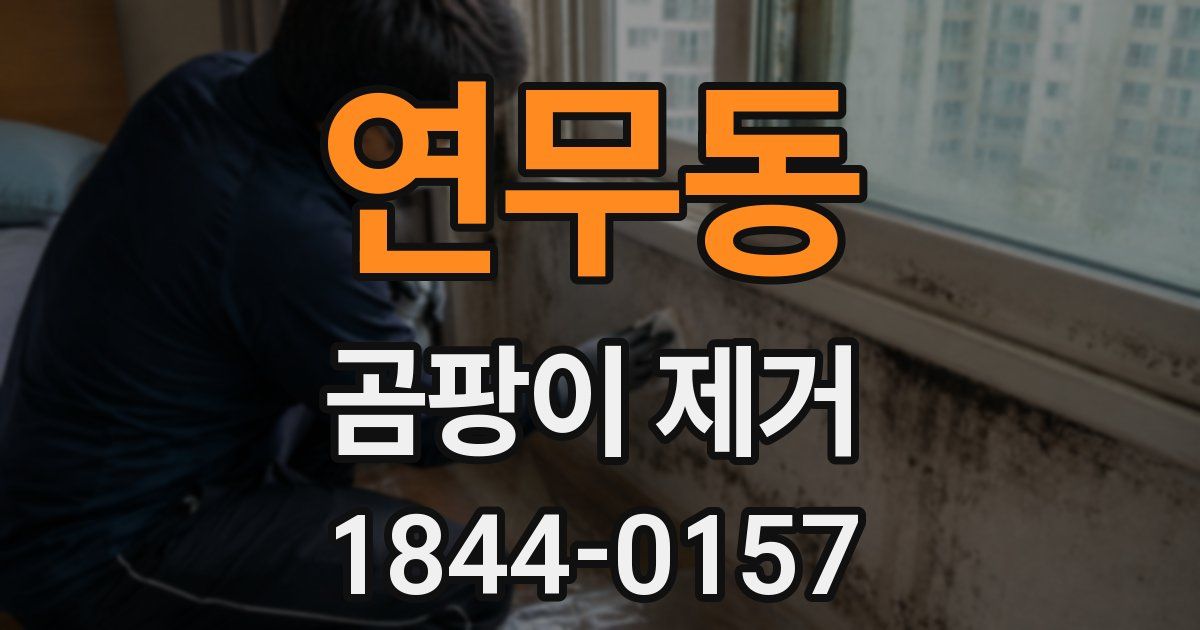 연무동 곰팡이 제거
