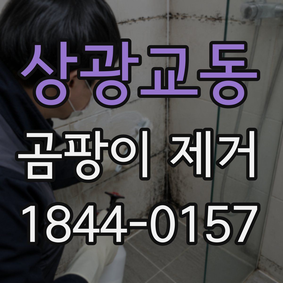 상광교동 곰팡이 제거