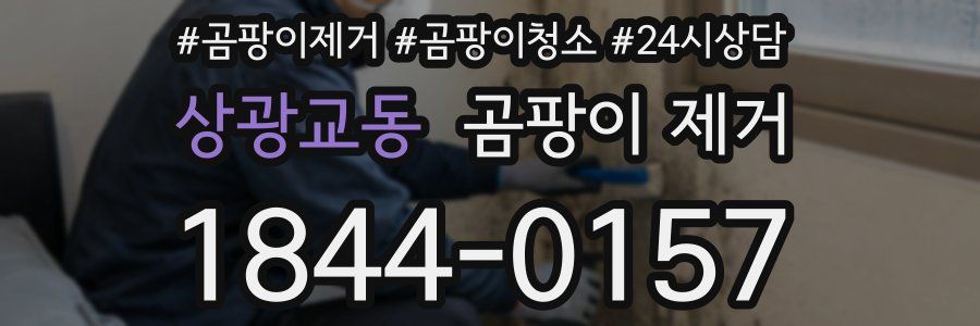 상광교동 곰팡이 제거