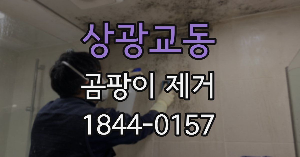 상광교동 곰팡이 제거