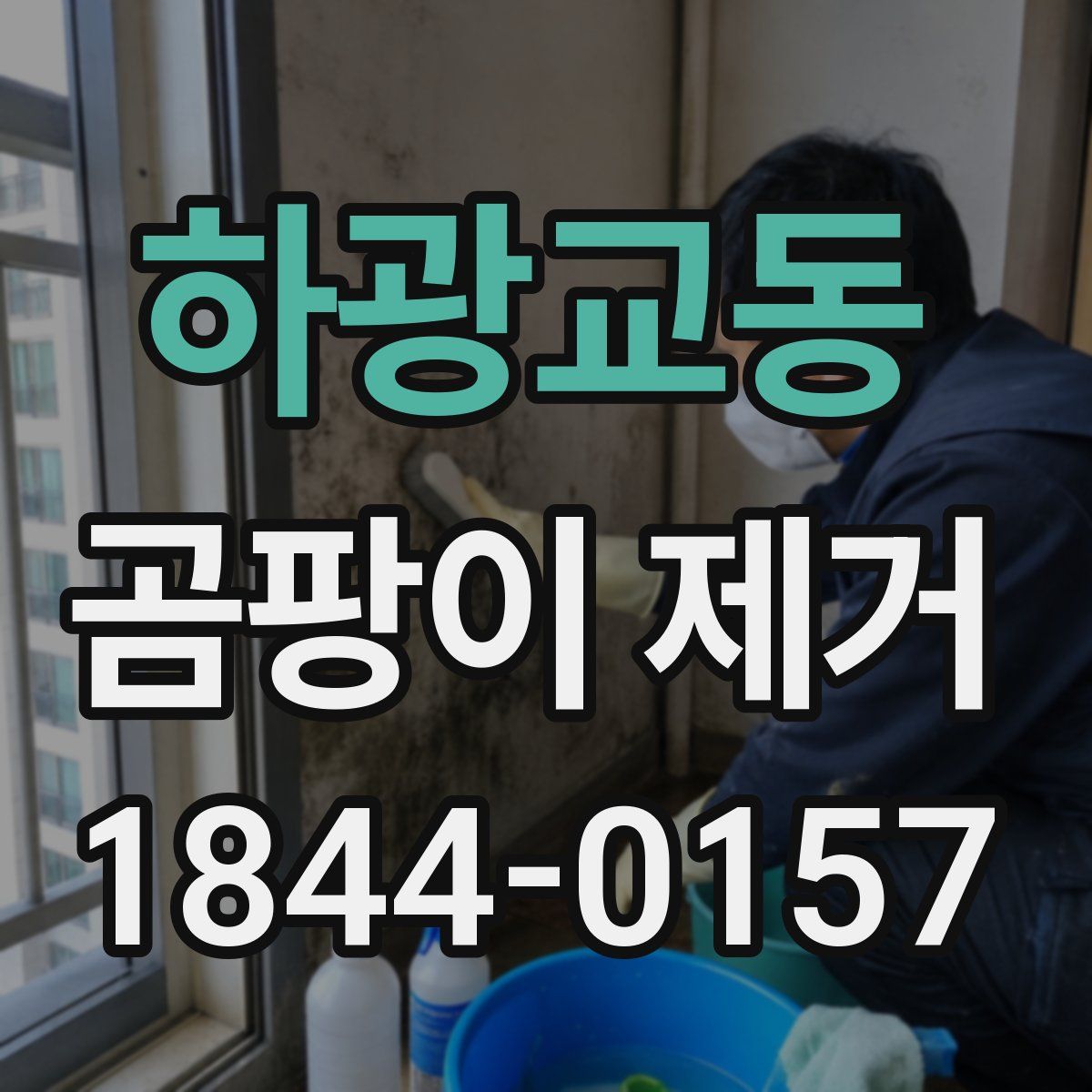 하광교동 곰팡이 제거