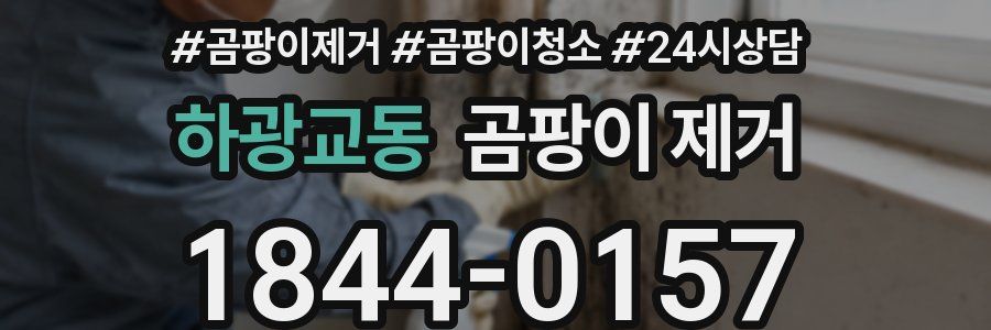 하광교동 곰팡이 제거