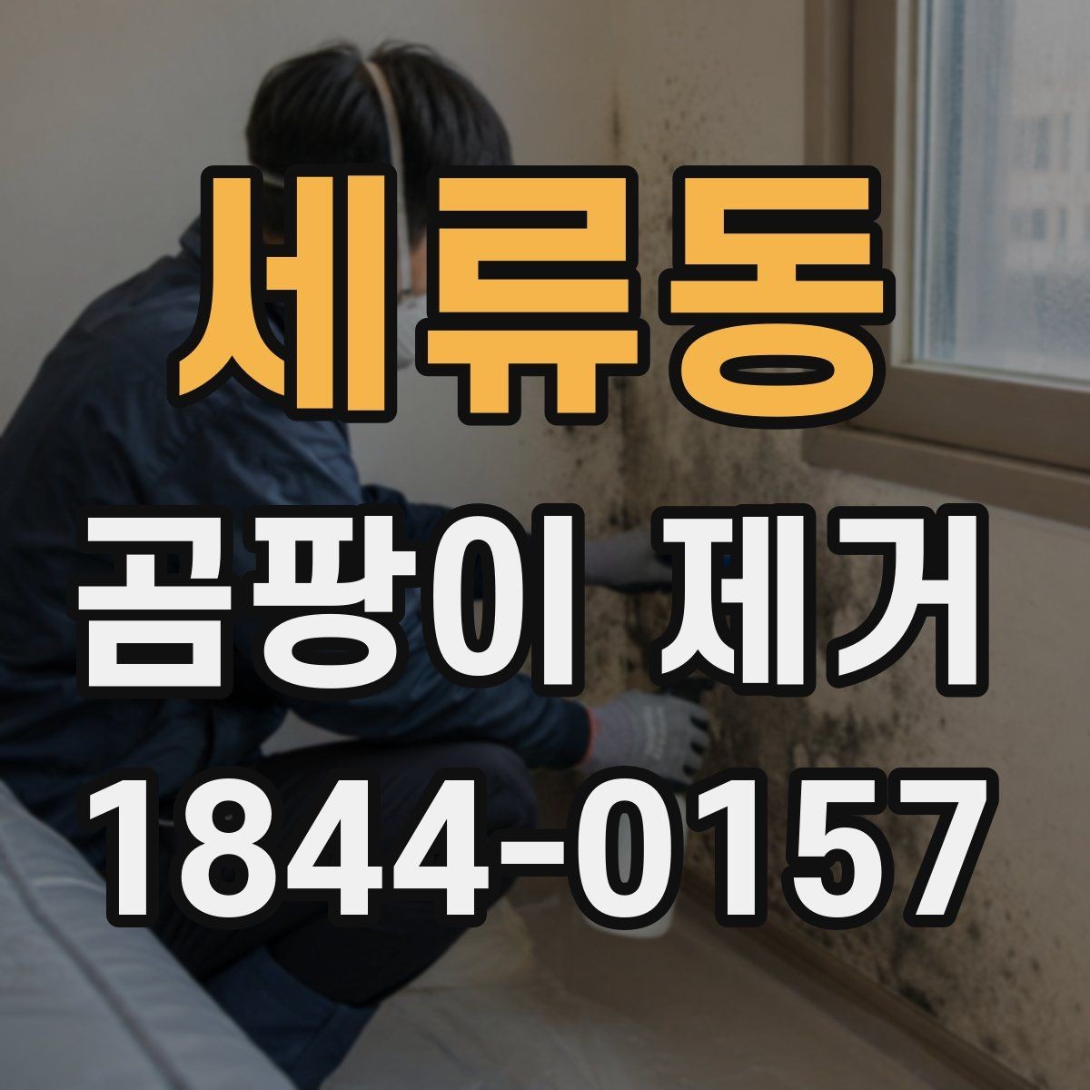 세류동 곰팡이 제거 결로가 심한 창문 주변 살펴보는 법