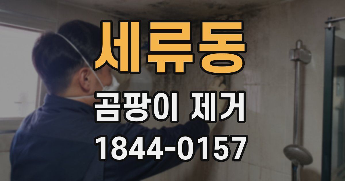 세류동 곰팡이 제거
