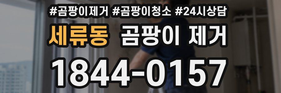 세류동 곰팡이 제거