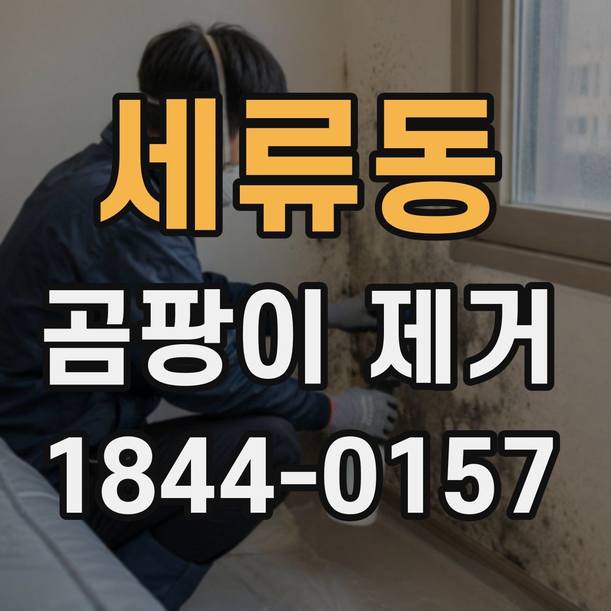 세류동 곰팡이 제거