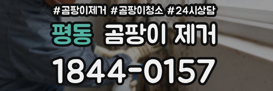 평동 곰팡이 제거