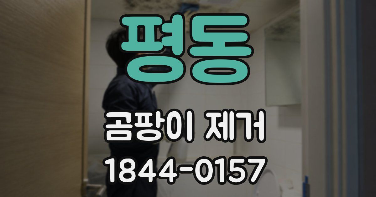 평동 곰팡이 제거