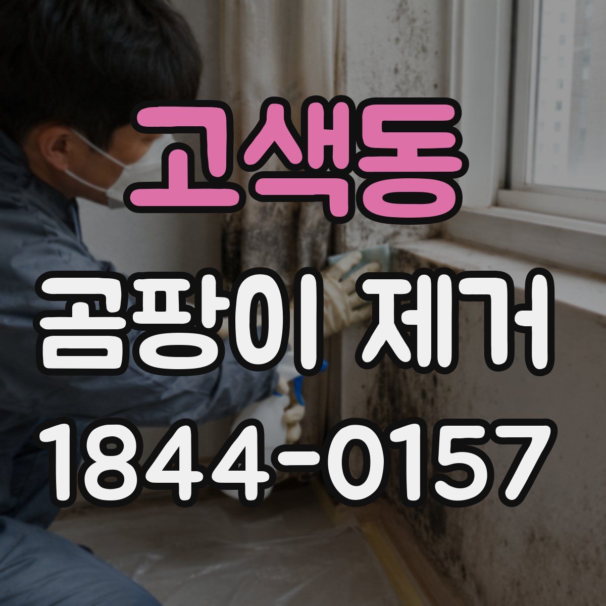 고색동 곰팡이 제거