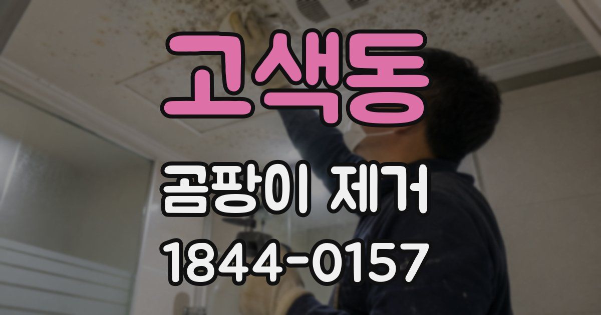 고색동 곰팡이 제거