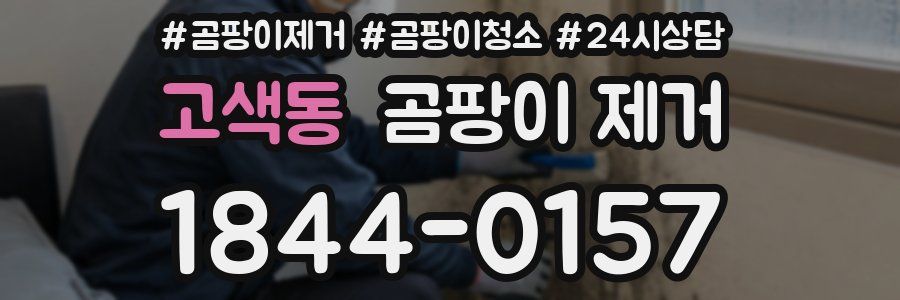 고색동 곰팡이 제거