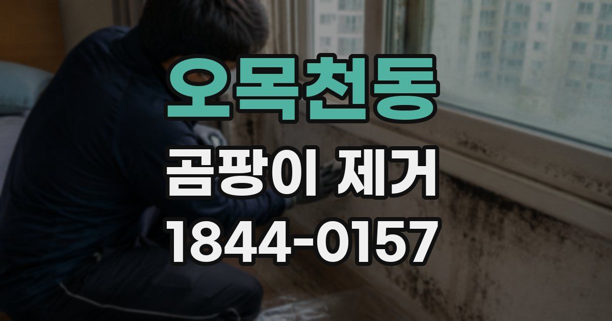 오목천동 곰팡이 제거