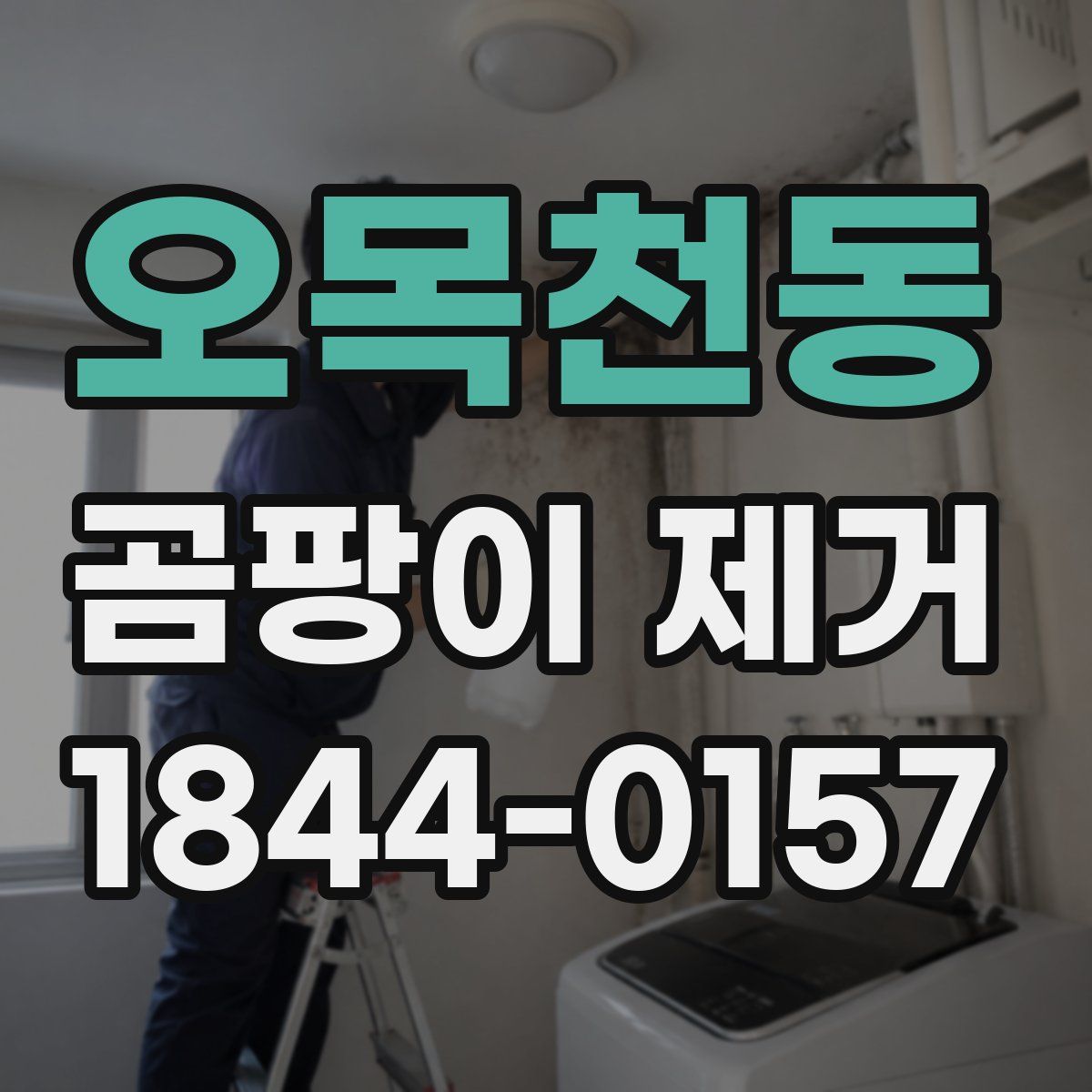 오목천동 곰팡이 제거