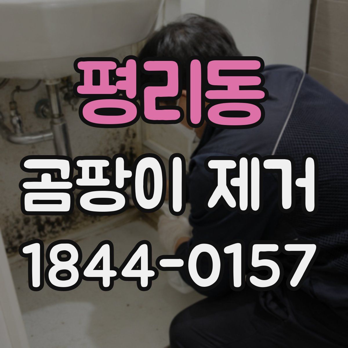 평리동 곰팡이 제거