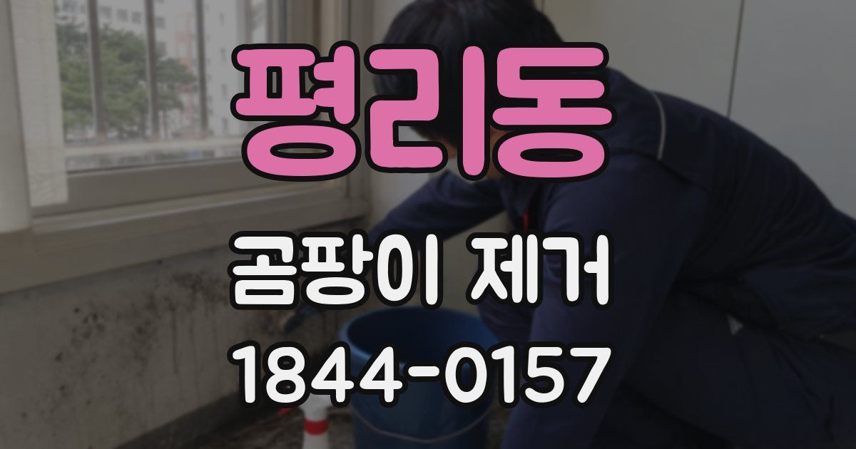 평리동 곰팡이 제거