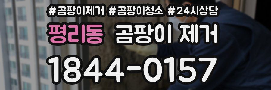 평리동 곰팡이 제거