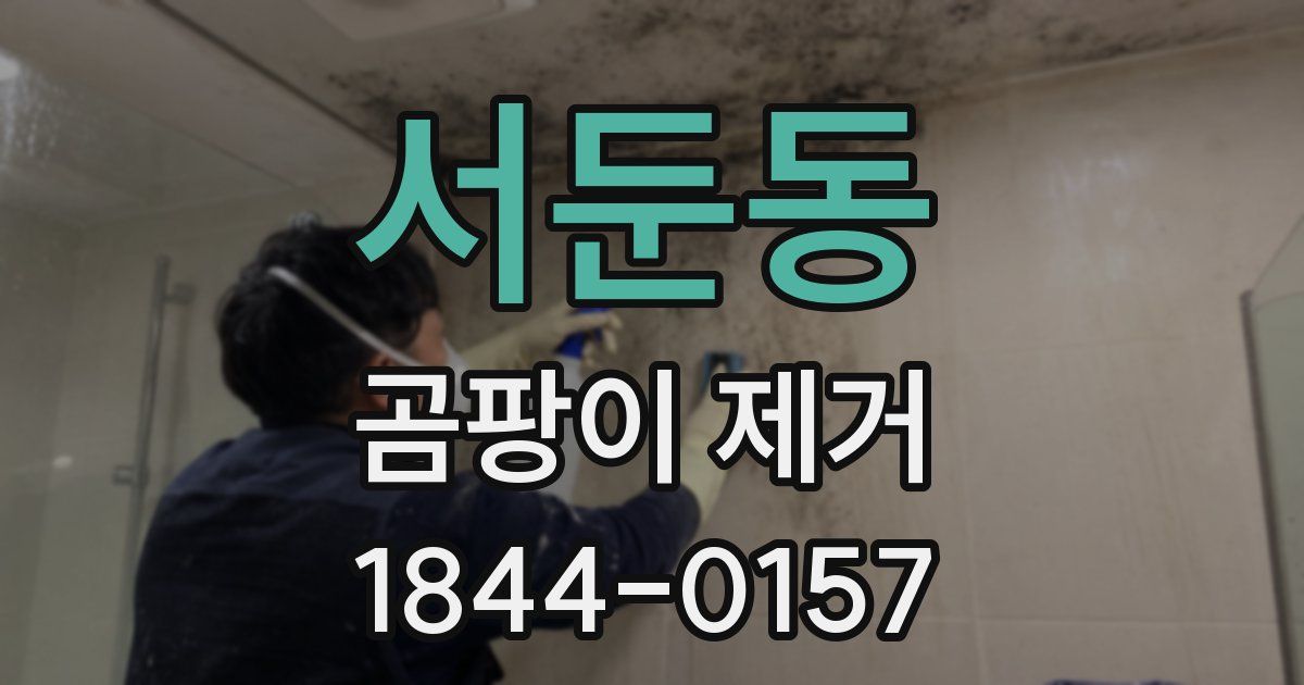 서둔동 곰팡이 제거