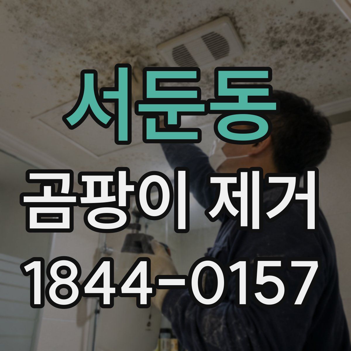 서둔동 곰팡이 제거