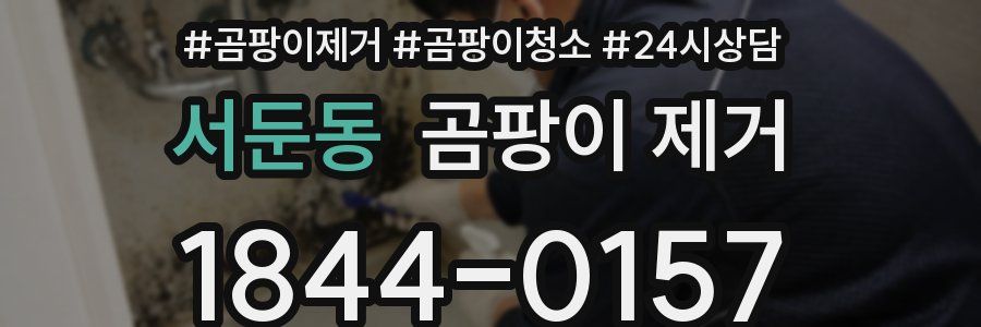 서둔동 곰팡이 제거