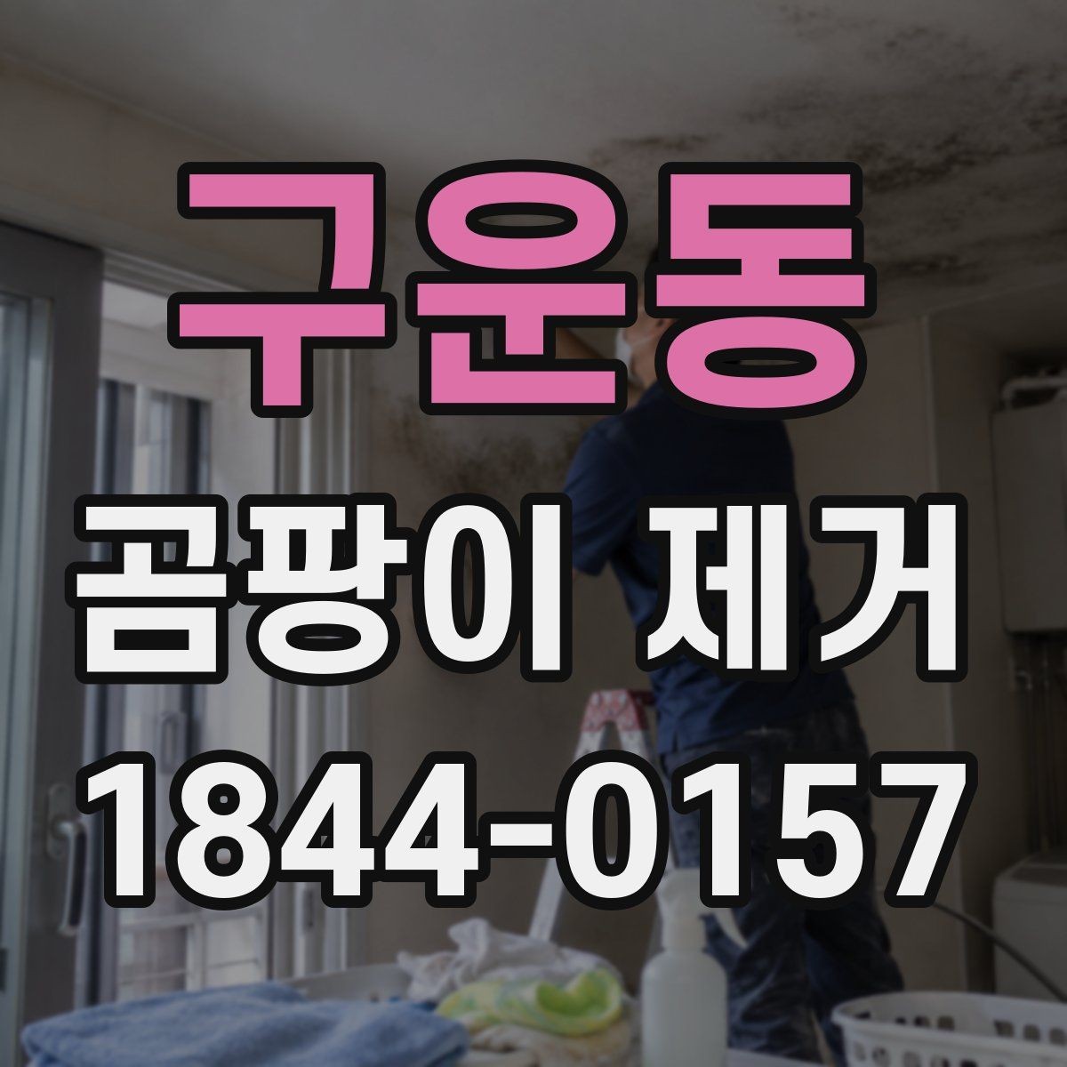 구운동 곰팡이 제거 장마철 확산을 막는 실내 관리 포인트