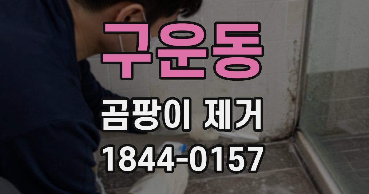 구운동 곰팡이 제거